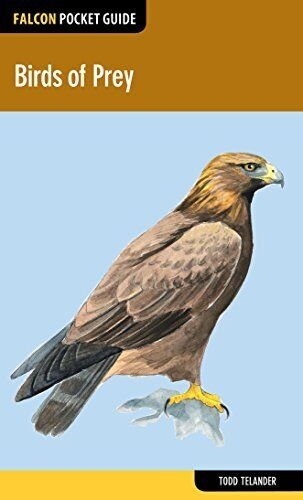 Birds of Prey; Flacon Pocket Guide